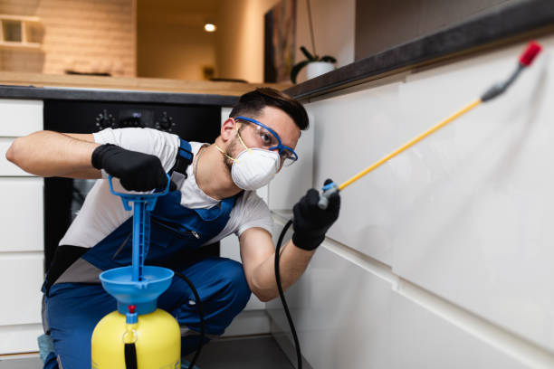 Best Mosquito Control Services  in Penns Grove, NJ