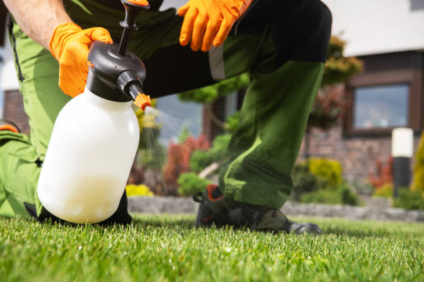 Best Local Pest Control Services  in Penns Grove, NJ