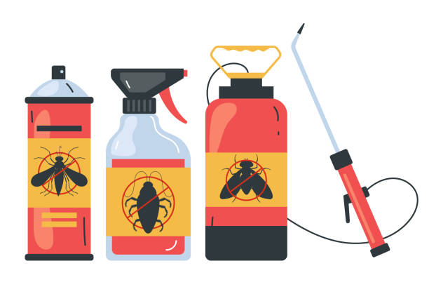 Best Spider Control Near Me  in Penns Grove, NJ