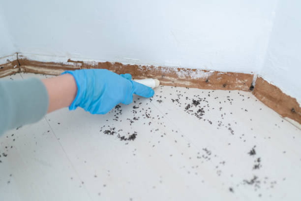 Best Exterminator Services  in Penns Grove, NJ