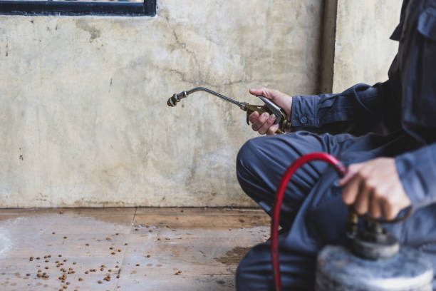 Best Termite Control Services  in Penns Grove, NJ